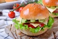 Sandwich with ham, cucumbers, tomatoes, lettuce leaves and cheese Royalty Free Stock Photo