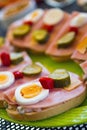 Sandwich with ham, egg, cucumber and pepper Royalty Free Stock Photo