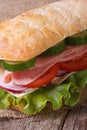 Sandwich with ham, tomato, cheese, lettuce and cucumber Royalty Free Stock Photo