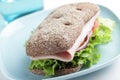 Sandwich with ham and vegetables Royalty Free Stock Photo