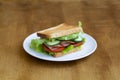 Sandwich with ham and vegetables.tasty sandwich with ham, green salad, cucumbers and tomatoes Royalty Free Stock Photo