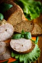 A sandwich with homemade sausage and rye bread Royalty Free Stock Photo