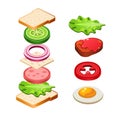 Sandwich Ingredients Food Vector Illustration