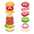 Sandwich Ingredients Food Vector Illustration