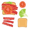 Sandwich Ingredients. Sandwich with lettuce leaf, bacon and tomato. Snack. Overhead view of isolated Breakfast snacks on