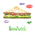 Sandwich isolated on white hand painted watercolor illustration