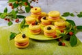 Sandwich lemon cookies with red and black berries Royalty Free Stock Photo