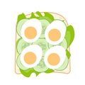 Sandwich with lettuce and cucumber, egg on bread top view, simple vector illustration Royalty Free Stock Photo