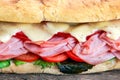 Sandwich with lettuce, slices of fresh tomatoes, salami, hum and cheese. Royalty Free Stock Photo