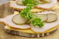 Sandwich with meat and chease on cutting board. Soft focus Royalty Free Stock Photo