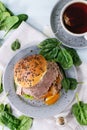 Sandwich with meat and egg Royalty Free Stock Photo