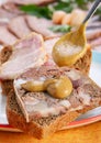 Sandwich with meat roll Royalty Free Stock Photo