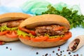 Sandwich: Meat rolls with vegetables in a bun Royalty Free Stock Photo