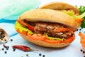 Sandwich: Meat rolls with vegetables in a bun Royalty Free Stock Photo