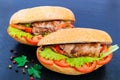 Sandwich: Meat rolls with vegetables in a bun with tomato Royalty Free Stock Photo