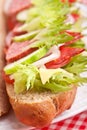 Sandwich with meat,vegetables and cheese Royalty Free Stock Photo
