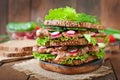 Sandwich with meat, vegetables Royalty Free Stock Photo