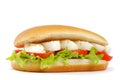 Sandwich with mozzarella