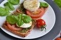 Sandwich with mozzarella cheese and red tomatoes Royalty Free Stock Photo