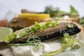 Sandwich in a oil marine , seafood lunch delicious product gourmet fresh dill on wooden background