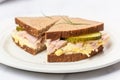 sandwich with pickles, tuna, and mayo on white plate Royalty Free Stock Photo