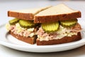 sandwich with pickles, tuna, and mayo on white plate Royalty Free Stock Photo
