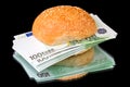 Sandwich with a pile of euro Royalty Free Stock Photo