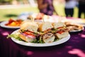 sandwich platter at outdoor picnic