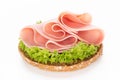 Sandwich with pork ham on white background. Royalty Free Stock Photo