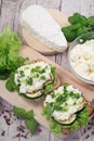 Sandwich with white cream cheese and herbs, chives and basil on a rustic wooden board Sandwich of cheese with herbs. Wooden backgr
