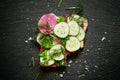 Sandwich with radish and cucumber, top view Royalty Free Stock Photo