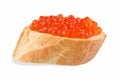 Sandwich with red caviar, red caviar on baguette on white background, close-up, side view.