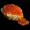 Sandwich with red caviar from white fresh bread with butter,isolated on a black background,seafood from fish,healthy fish oil Royalty Free Stock Photo