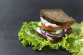 Sandwich with rye bread, soft cheese, tomato slices, onion, cucumber on a leaf of green salad on a black background Royalty Free Stock Photo