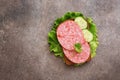 Sandwich with salami sausage, cucumber, lettuce and rye bread on a dark rustic background. Top view, flat lay Royalty Free Stock Photo