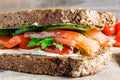 Sandwich with salmon, cheese, tomatoes, cucumbers and herbs Royalty Free Stock Photo