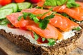 Sandwich with salmon for healthy breakfast Royalty Free Stock Photo