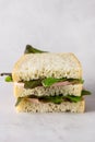 Sandwich With Sausage and Lettuce Tasty and Fast Snack Gray Background Vertical