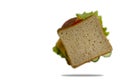 Sandwich sausage, tomato, sliced lunch flies on a white background