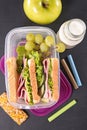 Sandwich school lunch Royalty Free Stock Photo