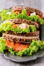 Sandwich with seafood Royalty Free Stock Photo