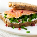 Sandwich with smoked salmon Royalty Free Stock Photo