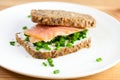 Sandwich with smoked salmon Royalty Free Stock Photo