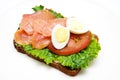 Sandwich with smoked salmon Royalty Free Stock Photo