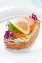 Sandwich with smoked salmon Royalty Free Stock Photo