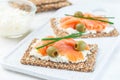 Sandwich with smoked salmon and cream cheese on thin multi seed crispbread, garnished with green onion and olives, horizontal