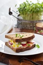 Sandwich with smoked salmon, radishes and egg