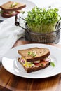 Sandwich with smoked salmon, radishes and egg