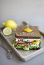 Sandwich with smoked salmon red fish on rye bread. Royalty Free Stock Photo