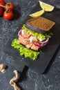 Sandwich with smoked salmon, tomato, onions and salad on stone background Royalty Free Stock Photo